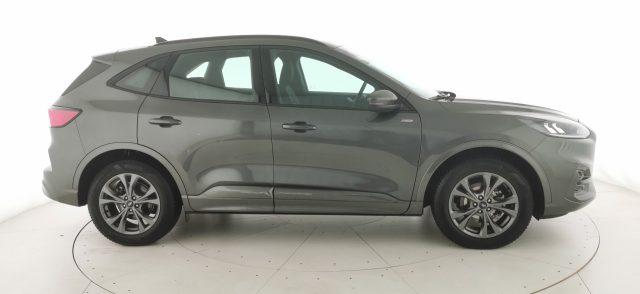 FORD Kuga 2.0 EcoBlue 120 CV aut. AWD ST-Line