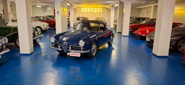 ALFA ROMEO Giulietta SPIDER 750 D *ASI TARGA ARG*FIVA