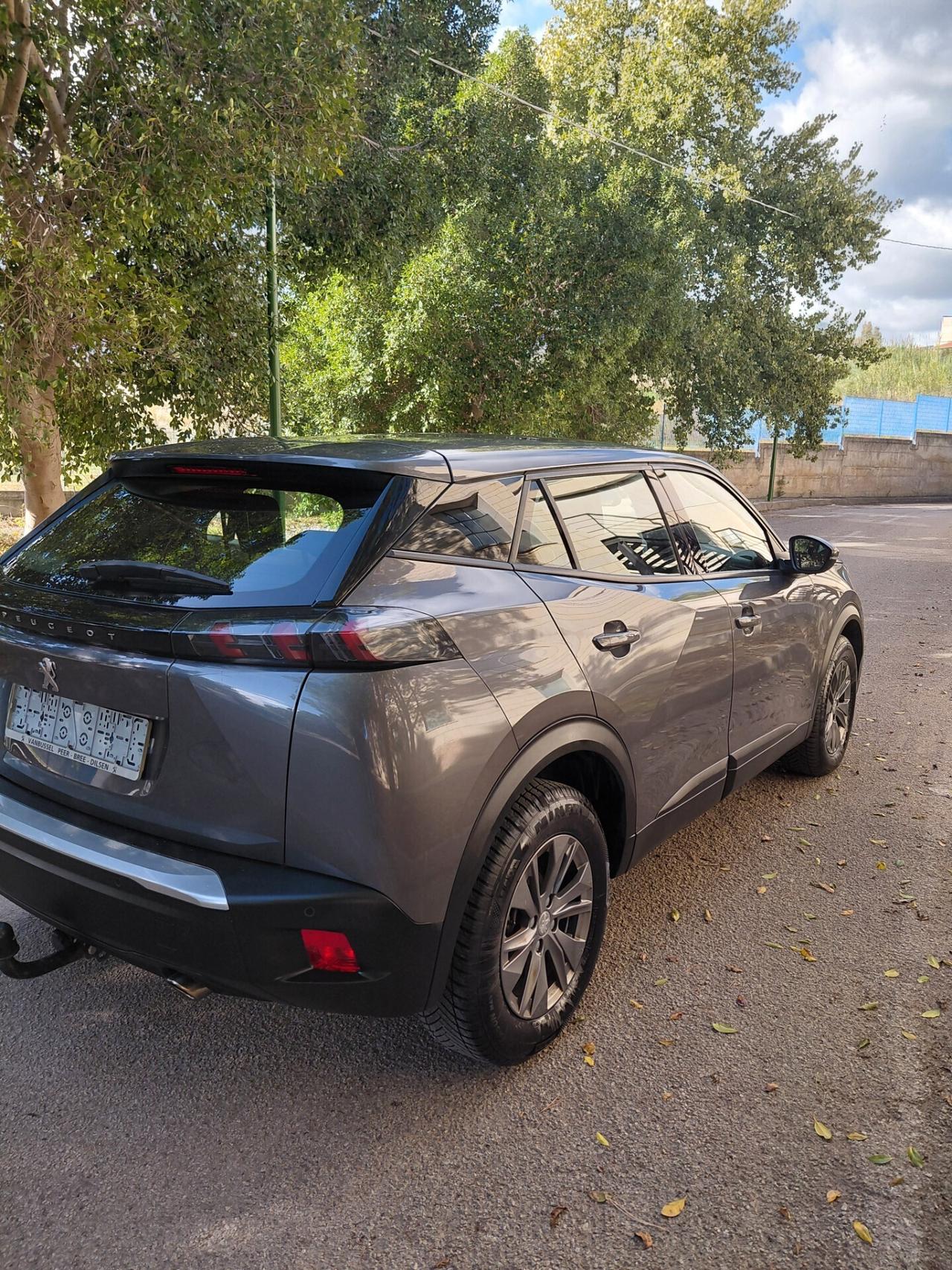 Peugeot 2008 BlueHDi 110 S&S Active Pack