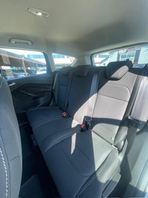 Ford Kuga 1.5 TDCI 120 CV S&S 2WD Powershift Titanium