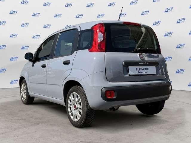 Fiat Panda 1.2 Easy s&s 69cv my19