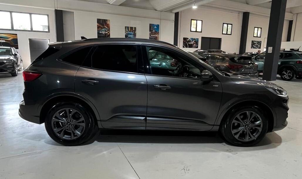 Ford Kuga 2.0 EcoBlue 120 CV aut. 2WD ST-Line