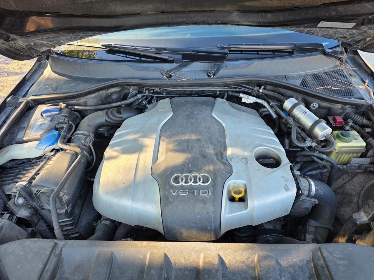 Audi Q7 3.0 V6 TDI 245 CV clean diesel quattro tiptronic edition