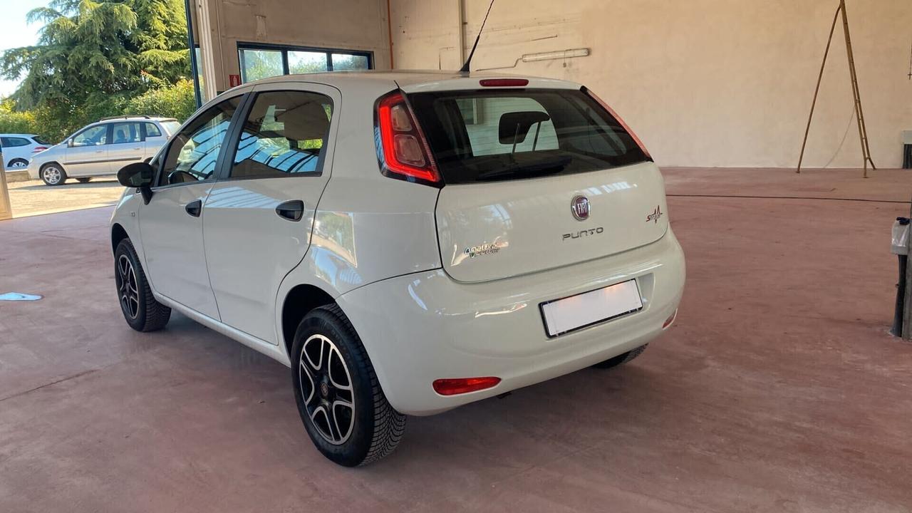 Fiat Punto 1.4 8V 5 porte Natural Power Street