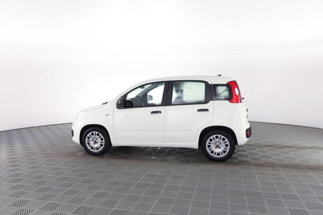 FIAT Panda Panda 1.0 FireFly 70cv S&S Hybrid E6d-Final EASY