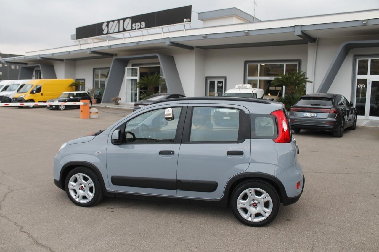 Fiat Panda 1.0 FireFly S&S Hybrid