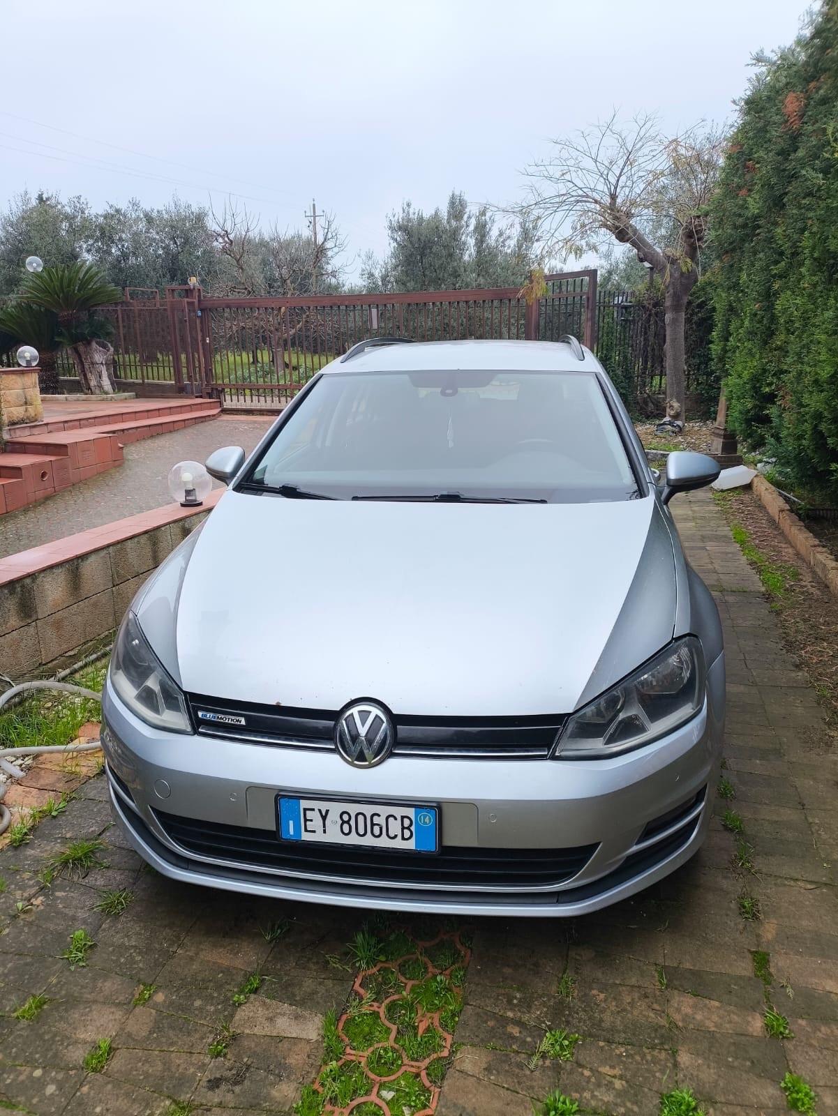 Volkswagen Golf Business 1.4 TGI DSG 5p. Highline BlueMotion