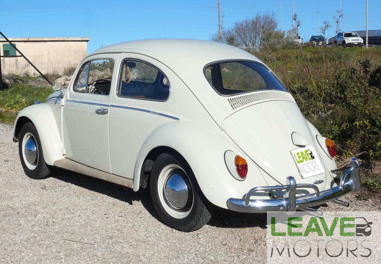 Volkswagen Maggiolino VETRO PIATTO (M1260)