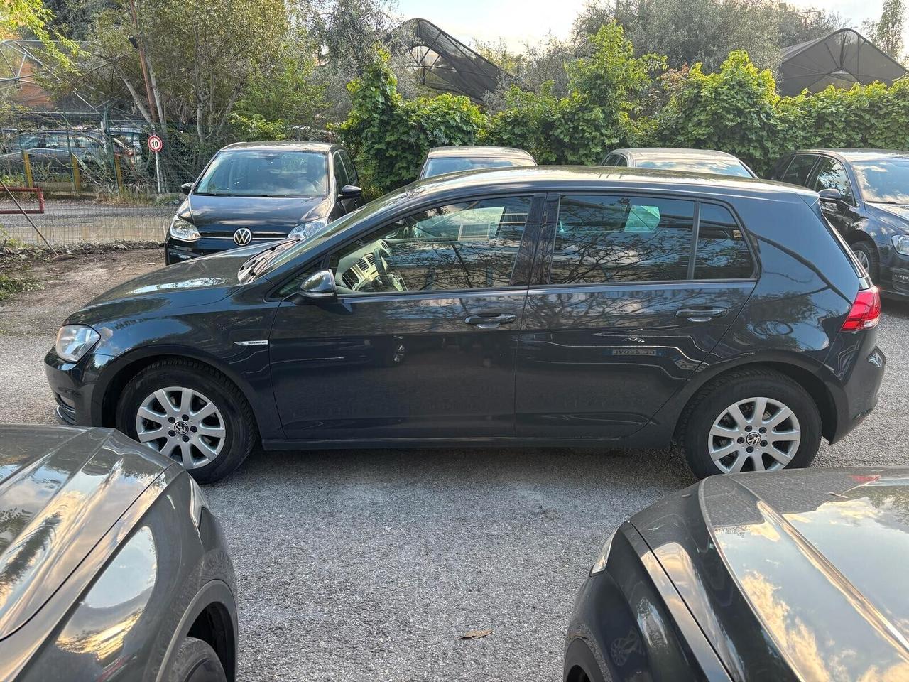 Volkswagen Golf Business 1.4 TGI 5p. OK Neopatentati