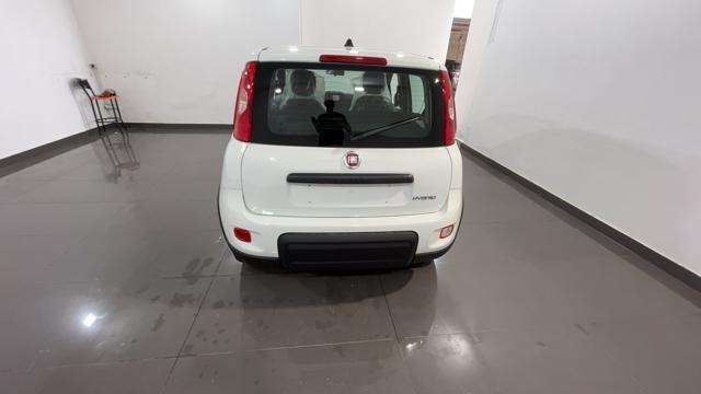 FIAT Panda 1.0 FireFly S&S Hybrid - VARI COLORI!