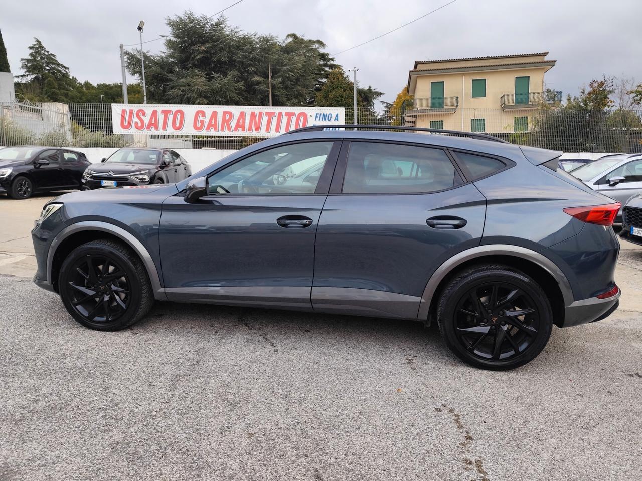 Cupra Formentor 2.0 TDI 4Drive DSG