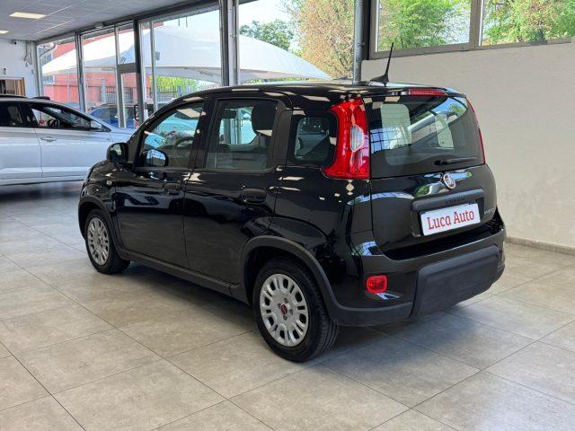 FIAT Panda 1.0 FireFly S&S Hybrid *UNICO PROPRIETARIO*