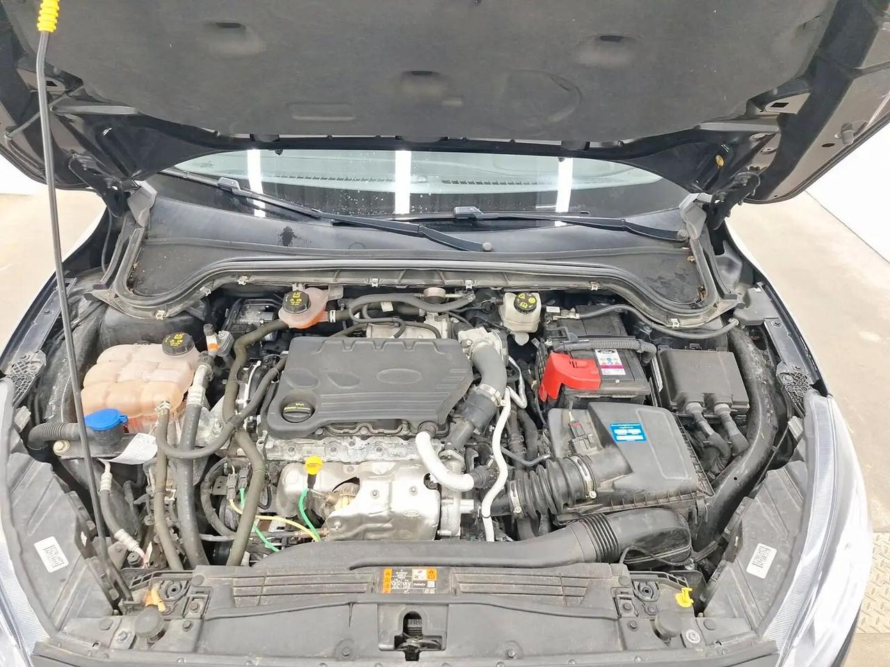 Ford Focus 1.5 EcoBlue 120 CV SW Business Diesel