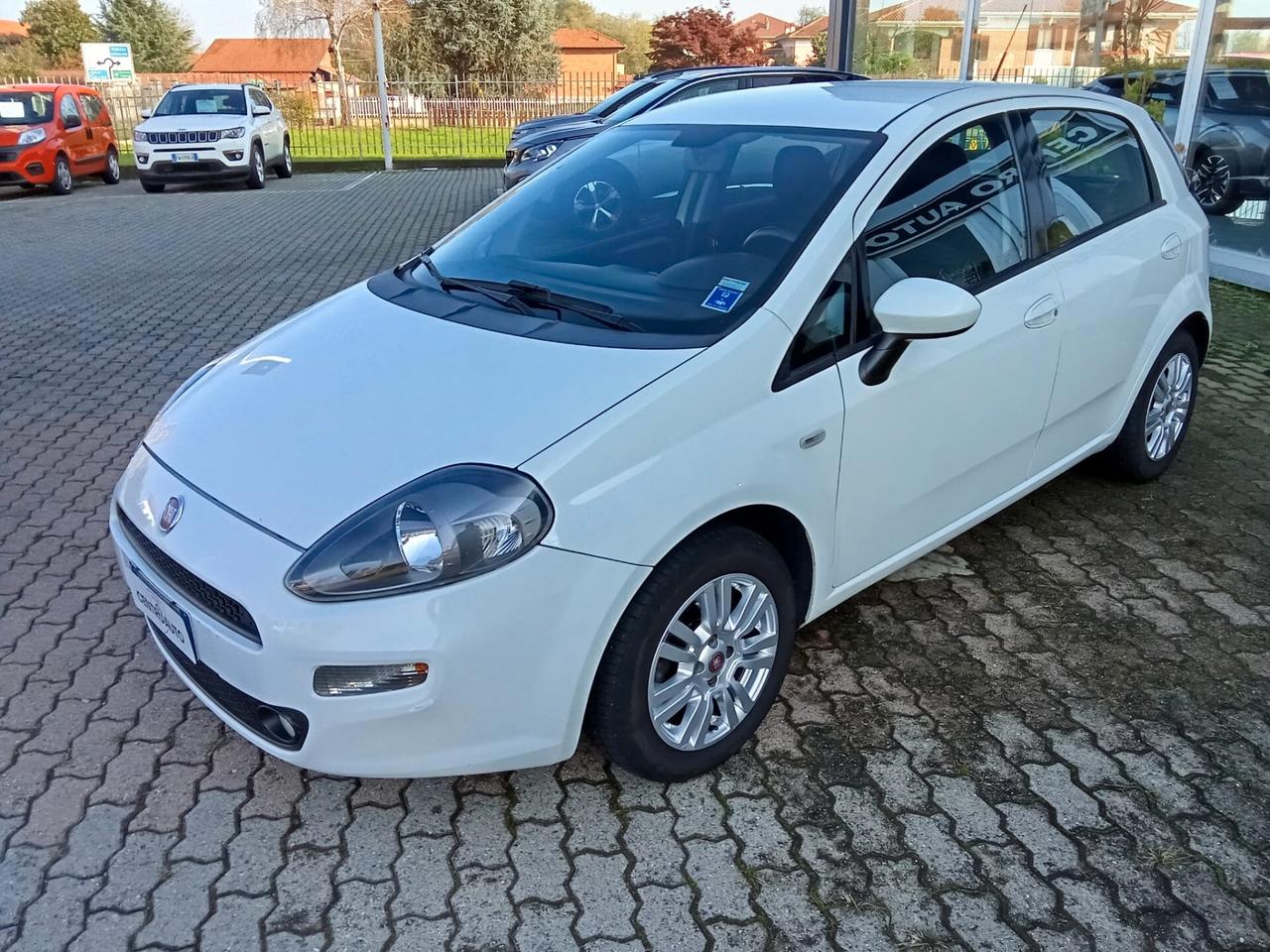 Fiat Punto 1.3 MJT II 75 CV 5 porte Lounge Neopatentato