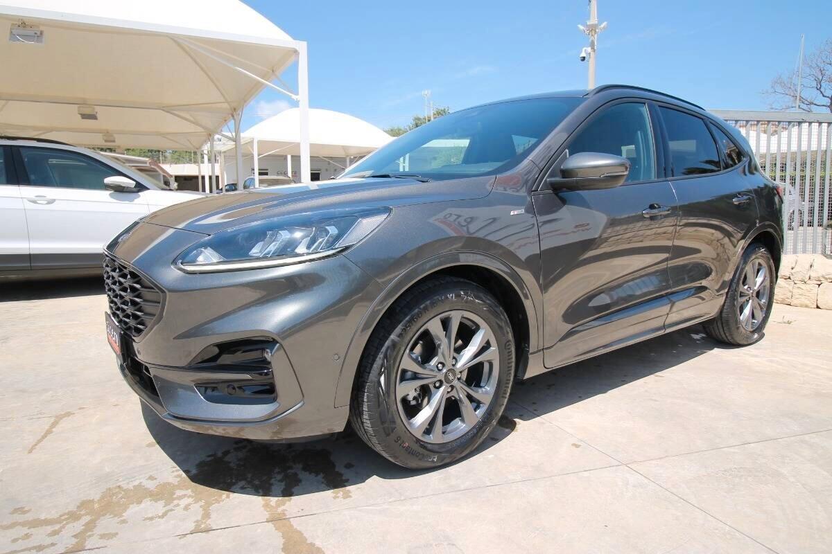 Ford Kuga 1.5 EcoBlue 120 CV auto ST-Line |2022