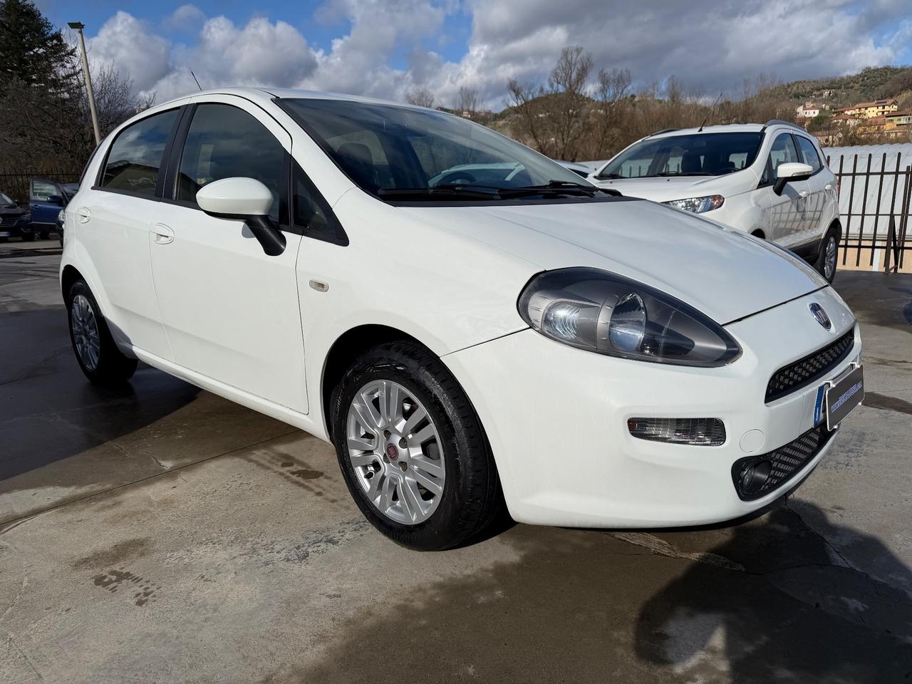 Fiat Punto 1.3 MJT II 75 CV 5 porte Street