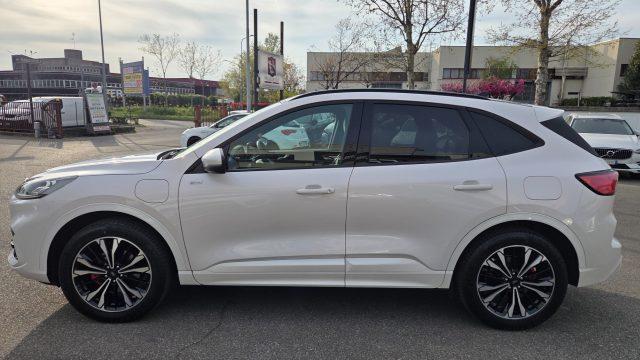 FORD Kuga 2.5 Plug In Hybrid 225 CV CVT 2WD ST-Line X PERMUT