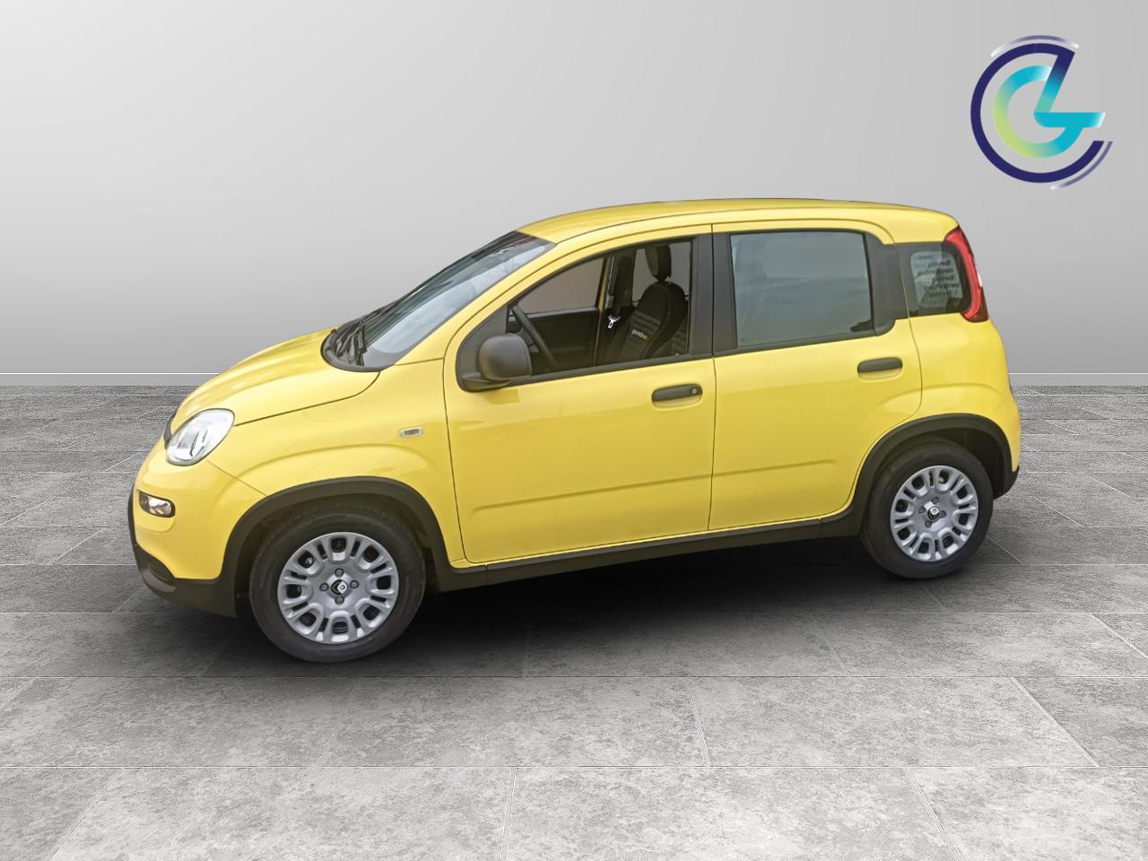 FIAT Panda III 2024 - Panda 1.0 firefly hybrid s&s 70cv