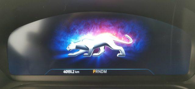 FORD Puma 1.0 EcoBoost Hybrid 125 CV S&S aut. ST-Line