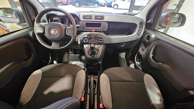 Fiat Panda III 1.0 firefly hybrid s&s 70cv