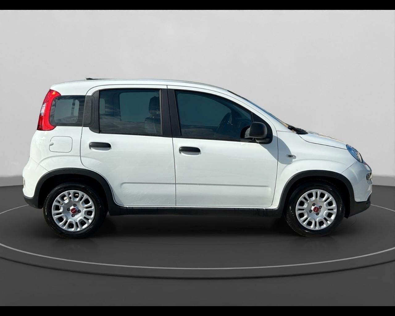 FIAT Panda III 2021 - Panda 1.0 firefly hybrid s&s 70cv