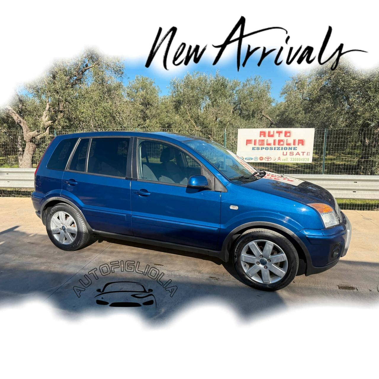 Ford Fusion 1.4 TDCi 5p. Titanium 167.000 KM 2009