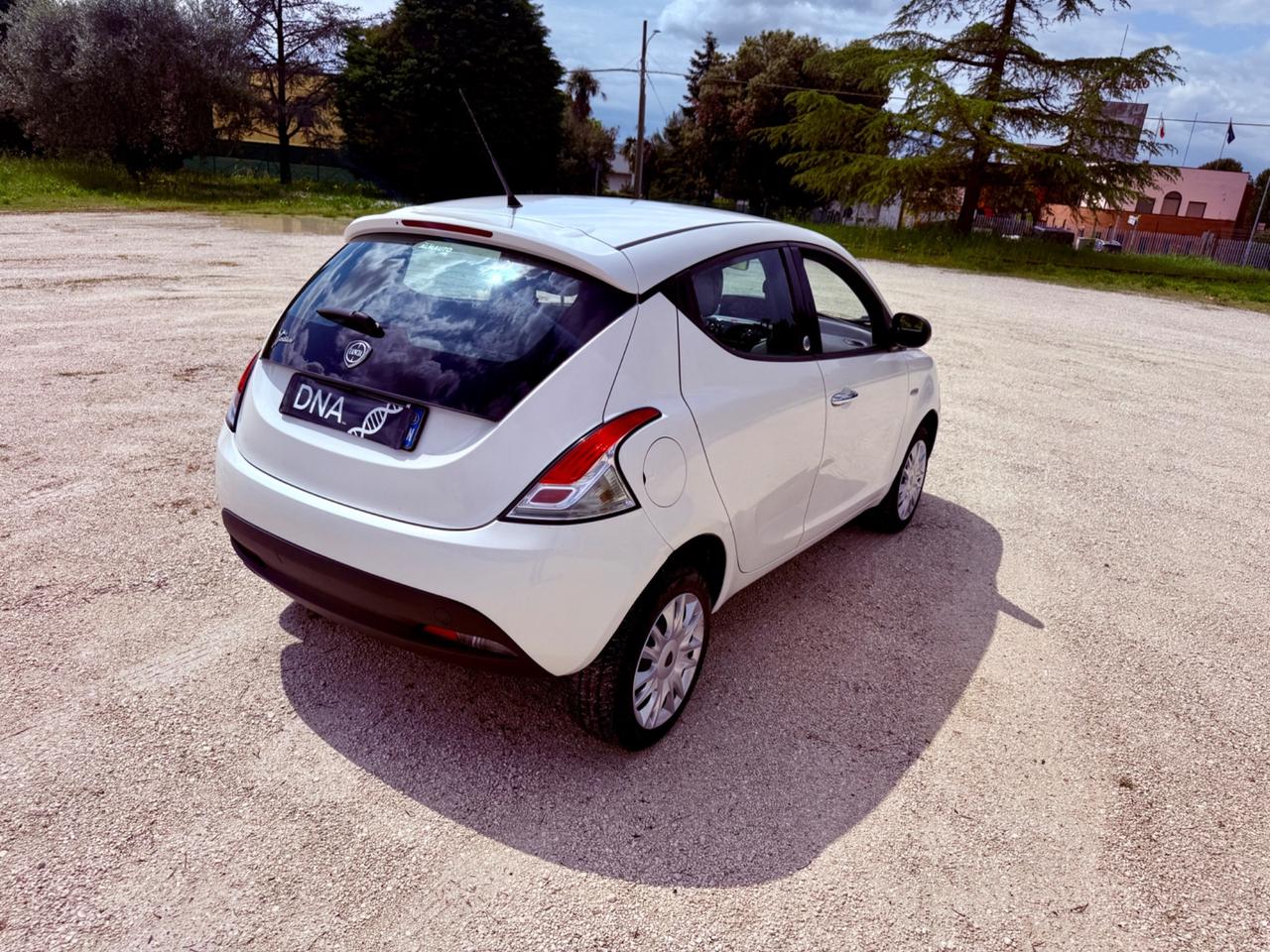 Ypsilon ecochic natural power neopatentati UNIPRO