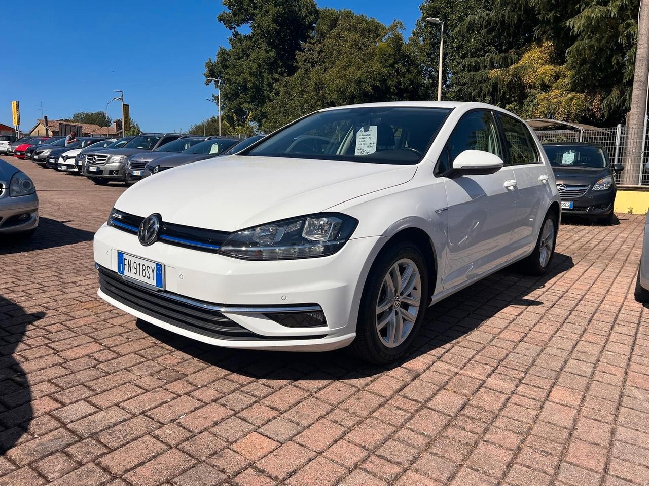 Volkswagen Golf 1.4 TGI 5p. Executive BlueMotion METANO