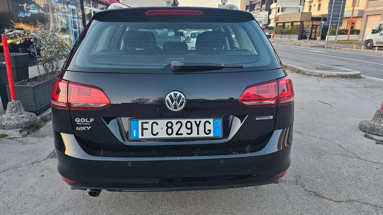 Volkswagen Golf Variant 1.6 TDI 110 CV Executive BlueMotion Technology
