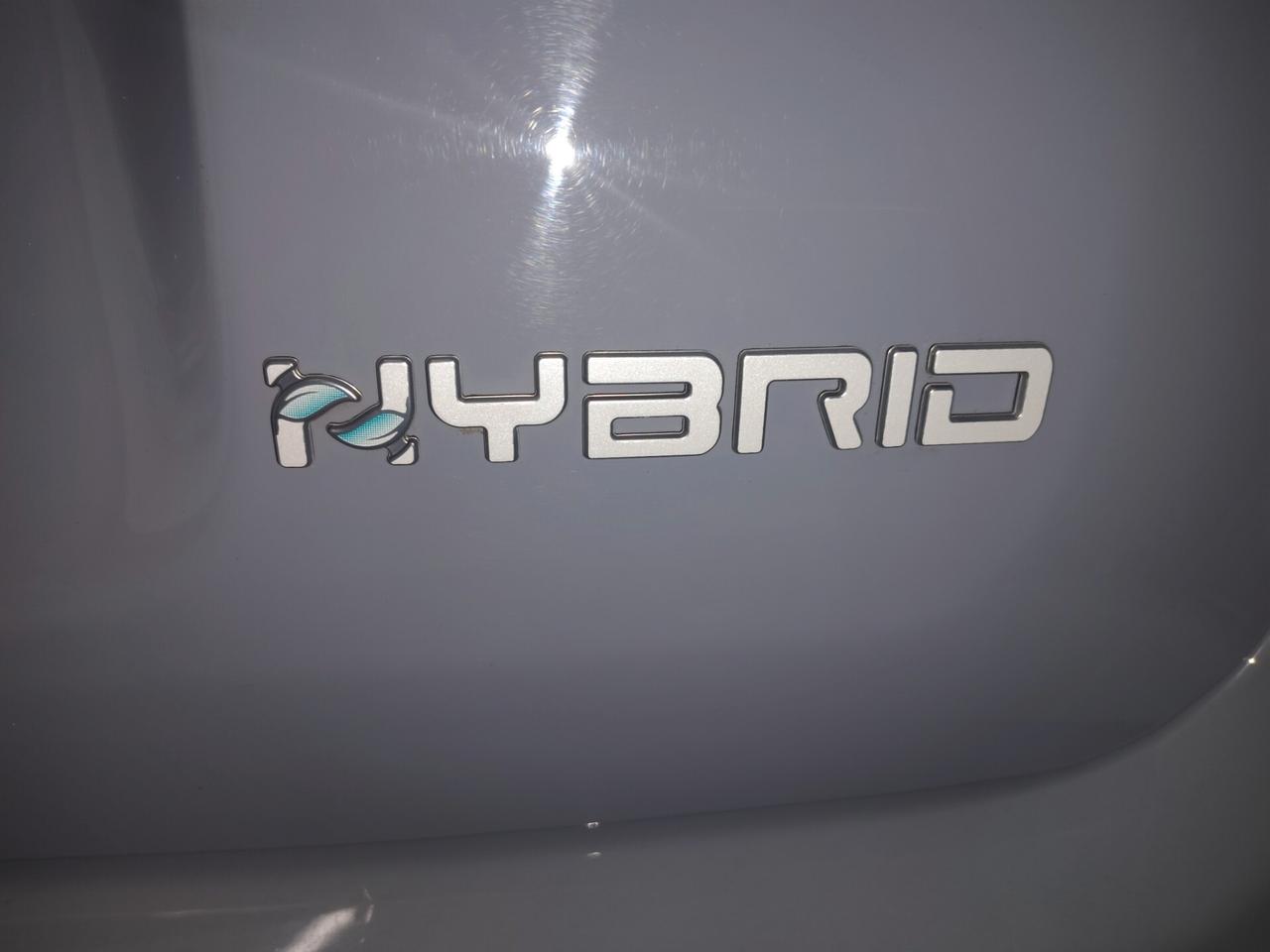 Fiat Panda 1.0 FireFly S&S Hybrid