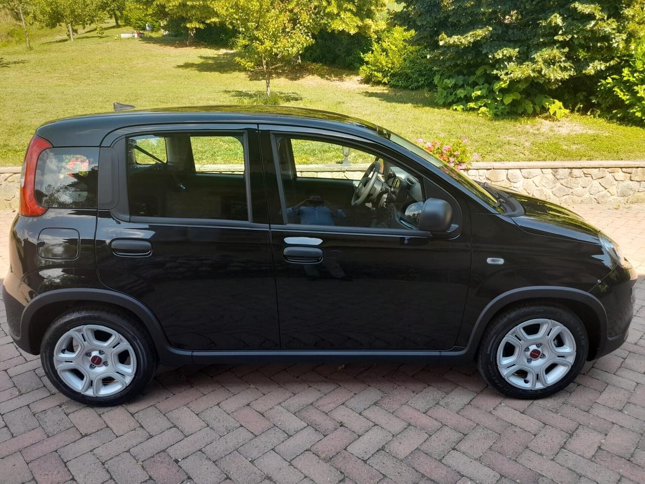 Fiat Panda 1.0 FireFly S&S Hybrid - KM 0 DI VARI COLORI - NO PROMO FINANZIARIA NEOPATENTATI