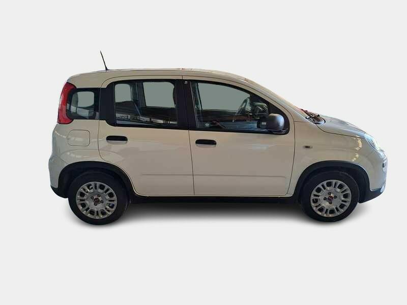 FIAT PANDA 1.0 FireFly 70cv S/S Hybrid 5 PORTE