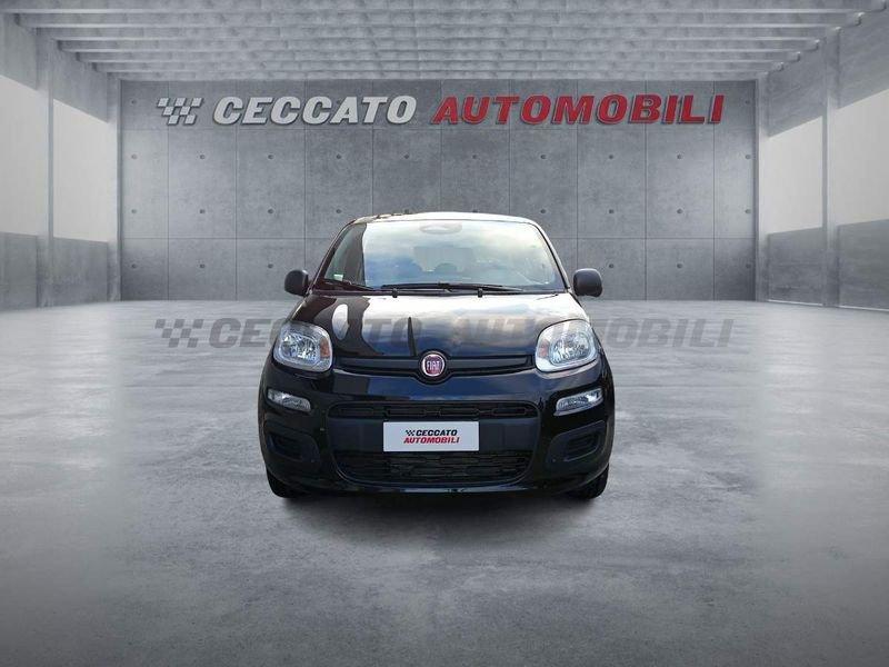 FIAT Panda Panda 1.0 firefly hybrid s&s 70cv