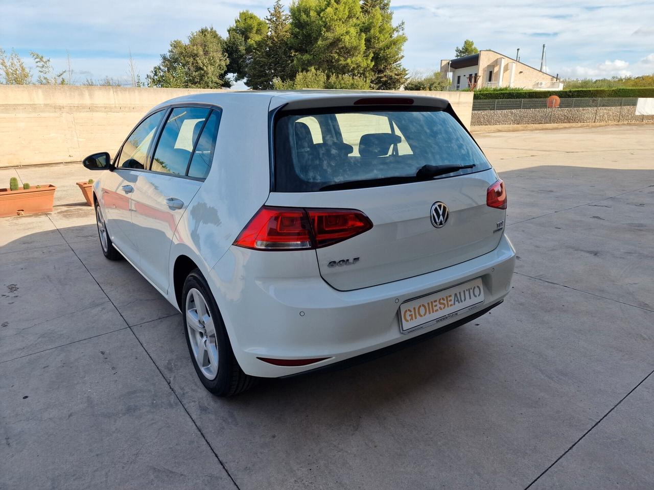 Volkswagen Golf 1.6 TDI 5p. Comfortline BlueMotion