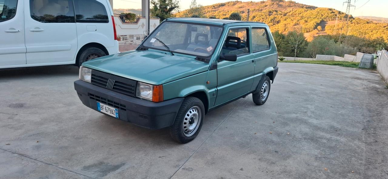 Fiat Panda 900 i.e. cat Young