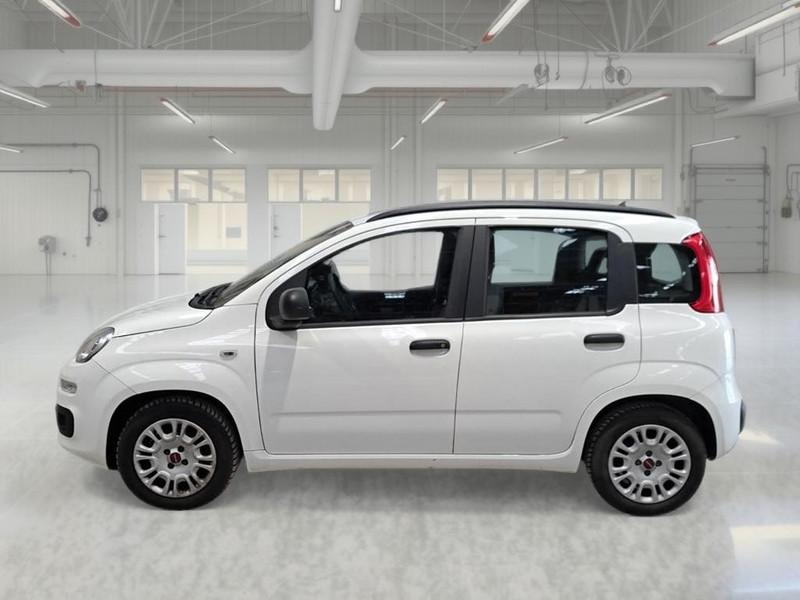 FIAT PANDA 1.2 69cv EasyPower E6 Easy 5 PORTE