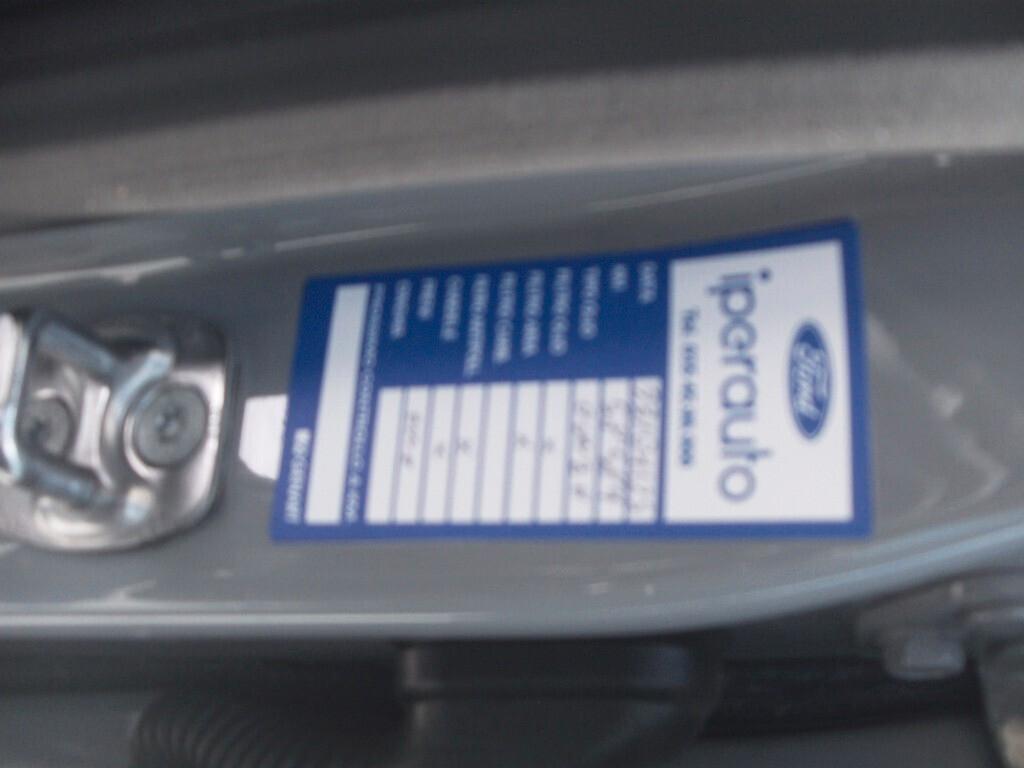 Ford Puma 1.0 Hybrid 125 CV ST-Line X N1 AUTOCARRO 2021