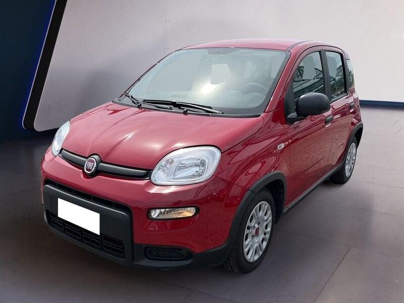 FIAT Panda My24 1.0 70cv Hybrid Panda