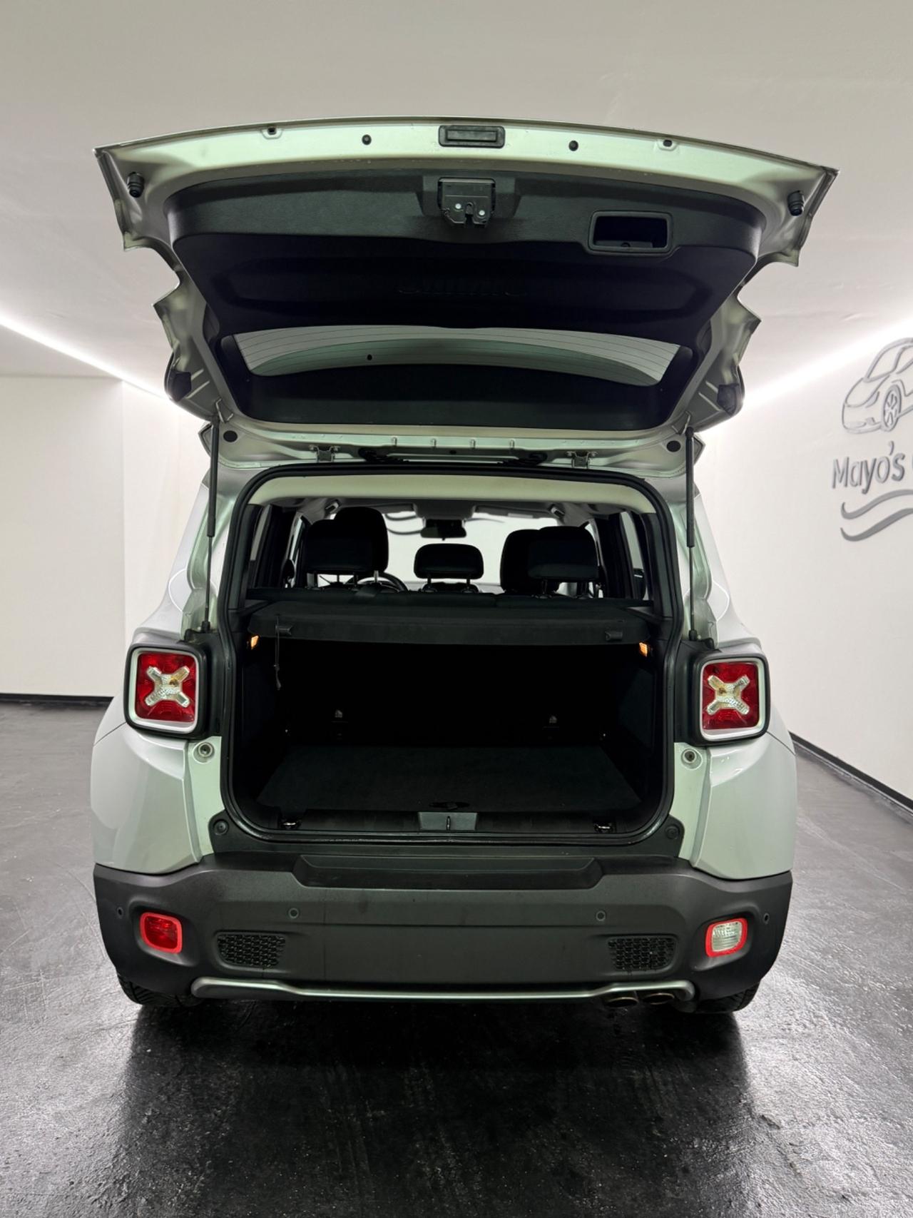 JEEP RENEGADE (anno 2015)