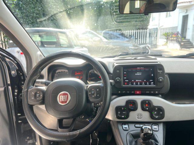 FIAT Panda Cross 1.0 FireFly S&S Hybrid DA ?139,00 MENSILI