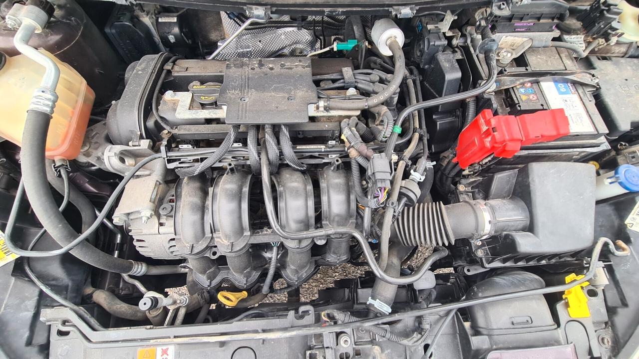 Ford Fiesta 1.4 5 porte Bz.- GPL