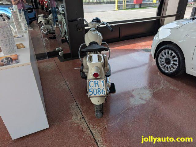 MOTOM Dolcevita 160 DELFINO