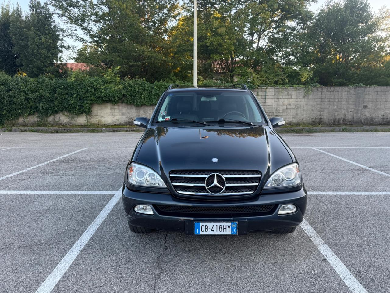 Mercedes-benz ML 270 turbodiesel cat CDI