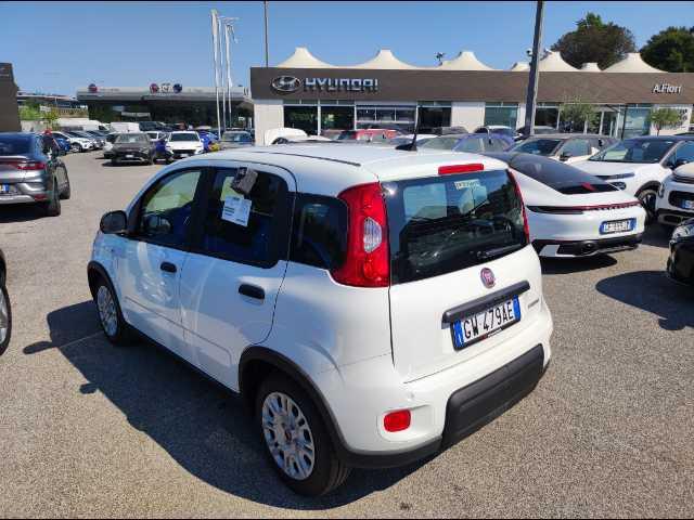 FIAT Panda 1.0 firefly hybrid s&s 70cv