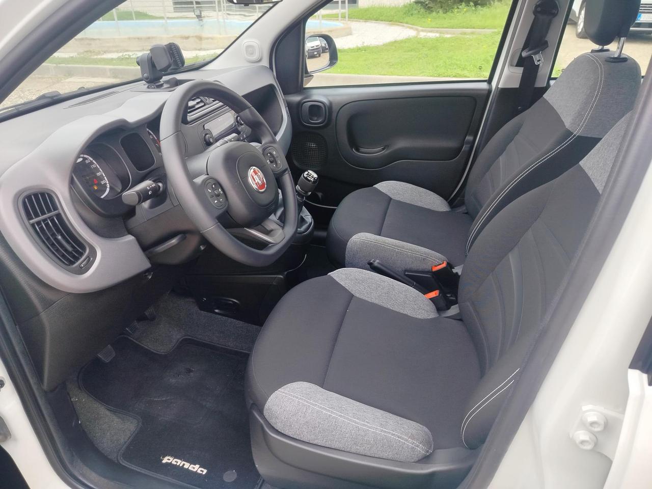 Fiat Panda 1.0 firefly hybrid City Life s&s 70cv