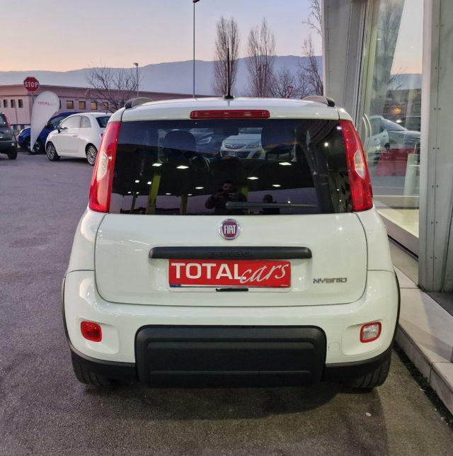 FIAT Panda 1.0 FireFly S&S Hybrid IVA ESPOSTA, NEO PATENTATI