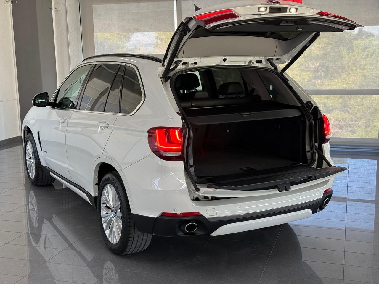 Bmw X5 Luxury 30 d #8314