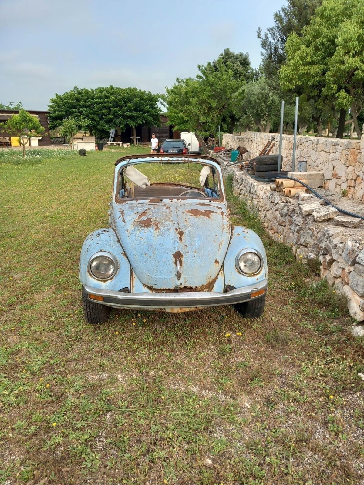 Maggiolino cabrio