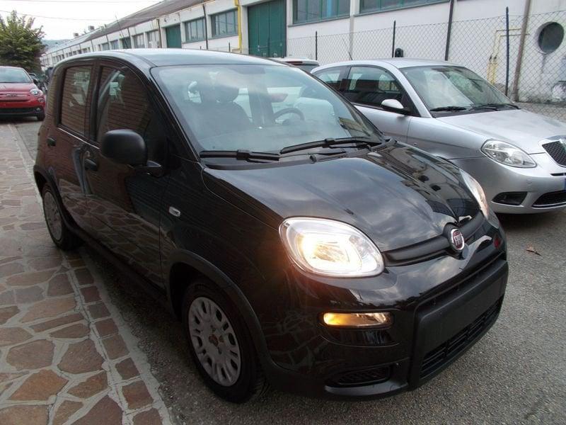 FIAT Panda 1.0 FireFly S&S Hybrid KM. ZERO 338.7575187 MASSARI MARCO