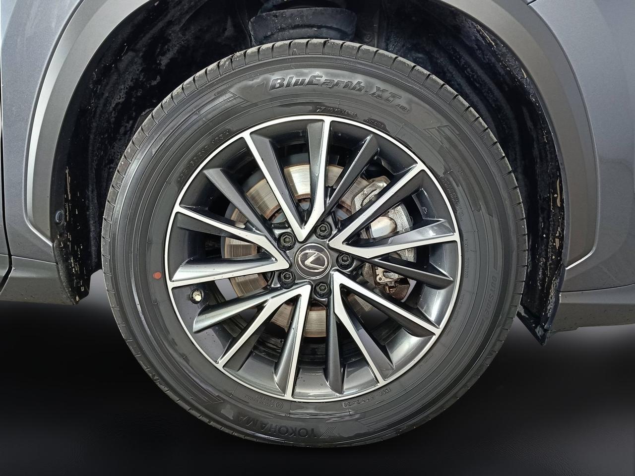 LEXUS NX II 2022 - NX 350h 2.5 Luxury 4wd 244cv e-cvt